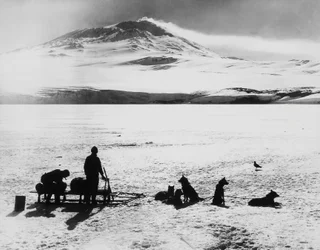 Zuidpool-expeditie door Robert Falcon Scott (1868-1912), ontdekkingsreizigers voor de Erebus-vulkaan op Ross-eiland, 15 januari