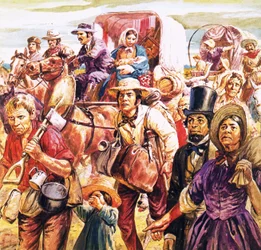 Californische goudkoorts