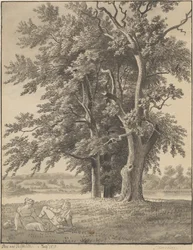 Het eiland bij Valsølille