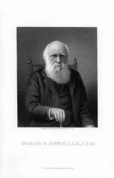 Charles Darwin, Britse natuuronderzoeker, 1899