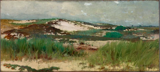 Nantucket zandduin