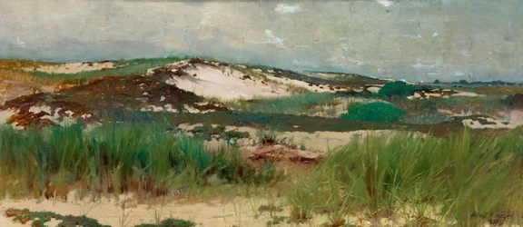 Nantucket Zandduin