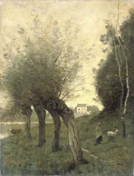 Landschap met knotwilgen