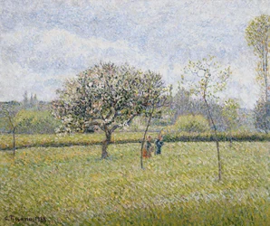 Appelboom in bloei in Eragny, 1888