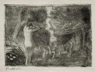 Bader en ganzen, 1895