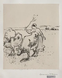 Koeherder