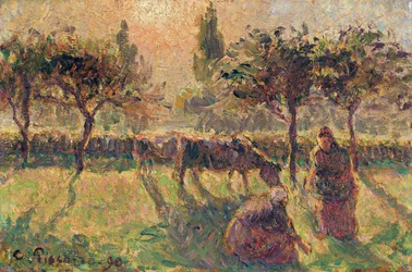 In de Velden, 1890
