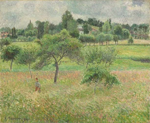 Appelbomen in Éragny