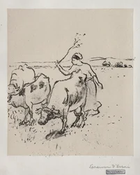 Koeherder