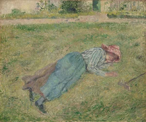 Meisje in het gras
