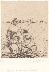 Groep Boeren