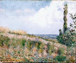 Landschap
