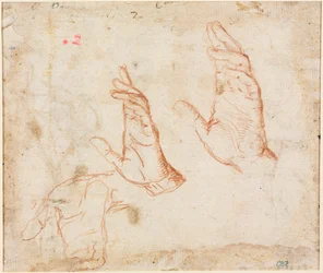 Studie van Handen (verso)