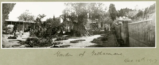 Tuin van Gethsemane, 14 december 1917