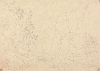 Holne Chase, 30 Mei 1833