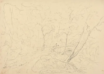 Holne Chase Bridge en rivier, 30 mei 1833