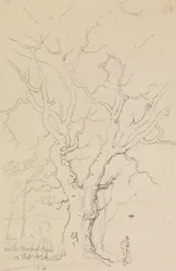 Op de Newport Road, 12 Februari 1826