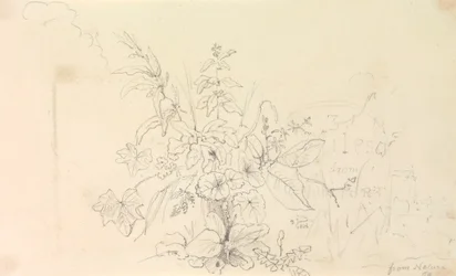 Schets van Planten en een Mijlpaal uit de Natuur, 3 juni 1826