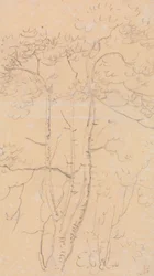 Schets van Bomen, Shorwell, Isle of Wight