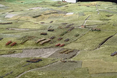 Diorama van de Slag bij Waterloo met troepen gepositioneerd zoals om 19.45 uur op 18 juni 1815 (detail)