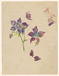 Bloemenstudie