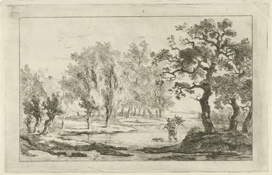 Rivierlandschap met een houtsprokkelaar