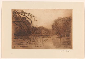 Vijver in het Haagse Bos