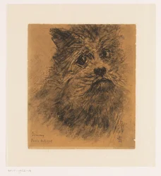 Portretstudie van hond Jimmy