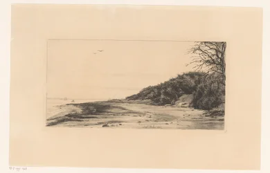 Bosrand langs water