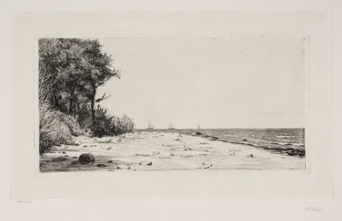 Van de noordkust van Seeland. Hornbækplantage