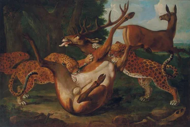 Luipaarden die herten aanvallen in een landschap