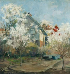 Uitzicht vanuit de studio