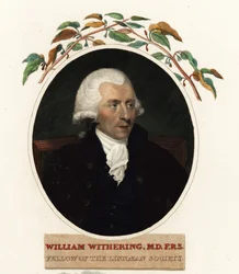 Portret van William Withering, arts en botanicus