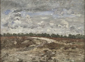 Wilde streek in het woud van Fontainebleau