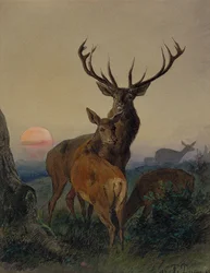 Een Hert met een Ree in een Bebost Landschap bij Zonsondergang
