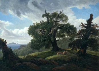 Herinnering aan een bebost eiland in de Oostzee Eikenbomen aan zee, 1835