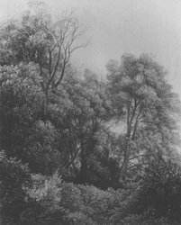 Pillnitz aan de Elbe Carl Gustav Carus 1840