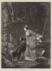 De bosglade