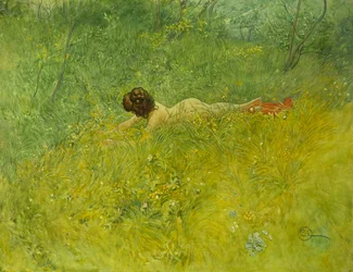 Op het gras, 1902