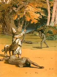 Robinson Crusoe en de wilden