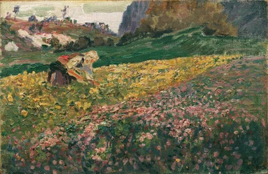 Meisje in de bloemenweide