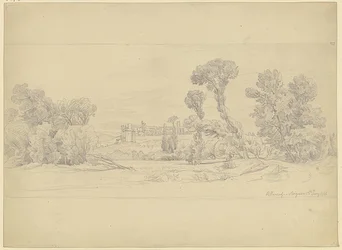 Boomstudie uit de omgeving van Villeneuve bij Avignon
