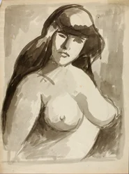 Naakte Vrouwelijke Torso