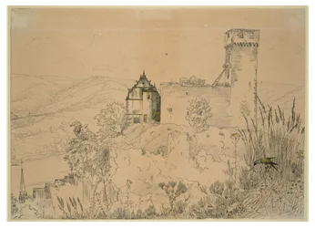 Kasteel Hirschhorn aan de Neckar (met de valk)
