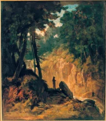 Boslandschap met waterval, aan de oever met kapucijner