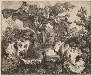 Kleine Plantstudie: een Klit, Delicate Graspluimen Links