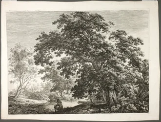 Visser in bosrijk landschap