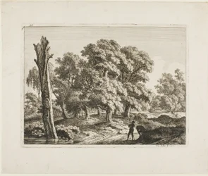 Landschap