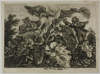 Groentenblad