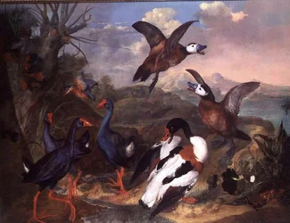 Vogels in een landschap